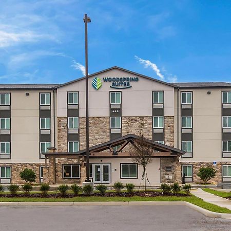 Woodspring Suites Tampa Airport North Veterans Expressway 외부 사진